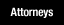 Meet the Attorneys